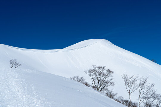 岐阜県 大日ヶ岳登山道から望む雪化粧した大日ヶ岳の冬景色