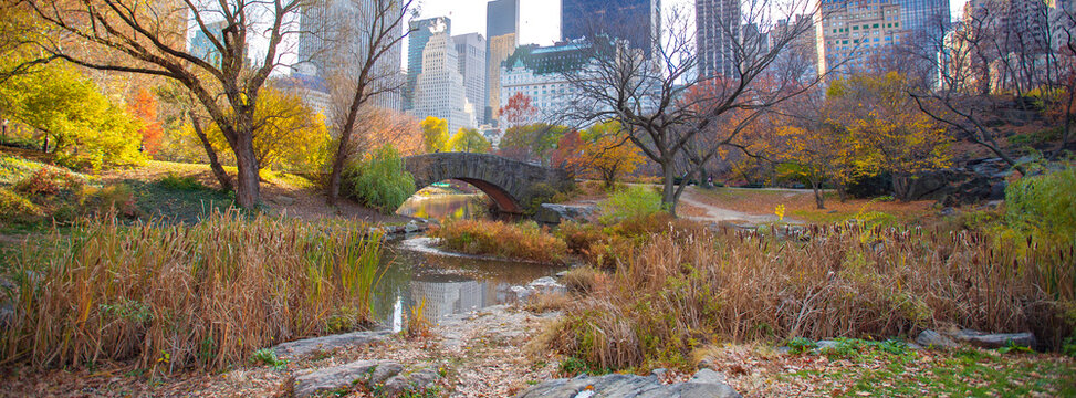 Autumn Gapstow Bridge with Manhattan skyscrapers skyline in Central Park, wide New York City panorama with copy space