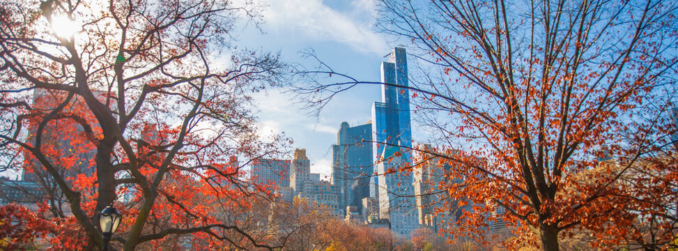 Autumn Central Park with modern Manhattan skyscrapers skyline in New York City, panorama with copy space
