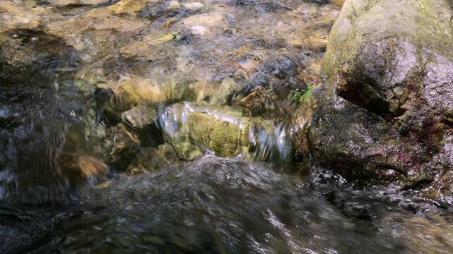  晴れの日の清流