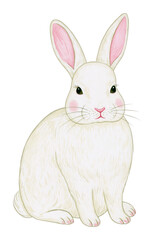 Fototapeta premium White rabbit illustration PNG on transparent background