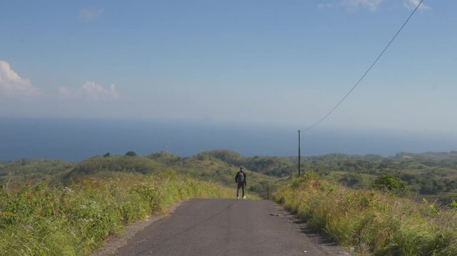 Lone hiker walks a winding road toward distant ocean views. Blue sky stretches above green hills and wild grasses. The path curves gently, bordered by tall, sunlit vegetation