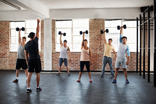 Dumbbell, coach and people at exercise class in gym for fitness, active with wellness in morning. Equipment, personal trainer and athletes with weights for arm workout or training in sports center.