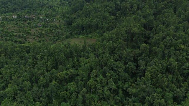 Aerial drone view flying over a dense green forest canopy and mountainside in rural Nepal