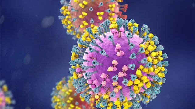 Parainfluenza viruses, 3D animation showing enveloped virions with surface glycoprotein spikes and helical nucleocapsid structure typical of Paramyxoviridae.