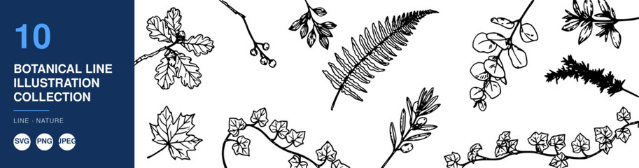 Naklejka premium Botanical Line Illustrations Collection Featuring Various Plants and Flowers in Minimalist Black and White Vector Design