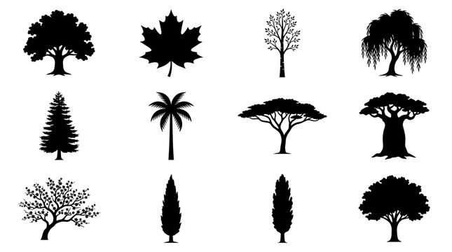 Set of black tree silhouettes isolated on a white background, collection of various forest and decorative trees including deciduous, coniferous, palm, and flowering species for design