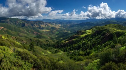 Obraz premium Panoramic view of a lush green valley and rolling hills under a dramatic sky capturing the expansive natural landscape and serene wilderness
