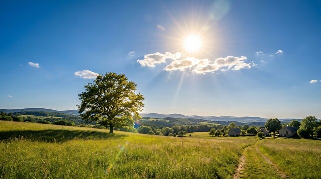 Sunny rural landscape