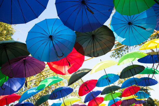 Colorful umbrellas create a bright outdoor canopy above a street, vibrant decorative installation, creative festival background.