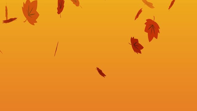 舞いながら落ちる紅葉のアニメーション　銀杏　もみじ　