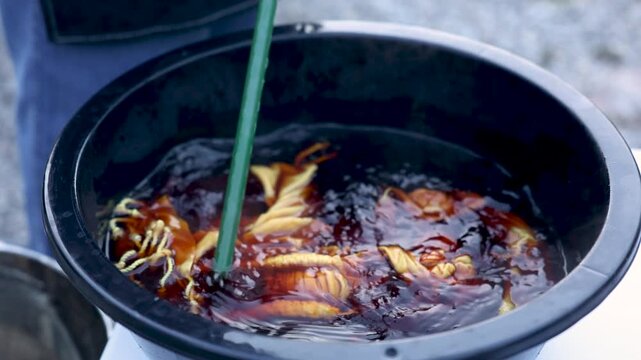 Senior artisan worker stirring tied fabric in natural dye solution, close up craft process, handmade textile production, small business work, skilled retirement lifestyle, creative aging.