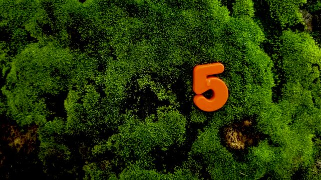 Orange plastic number five attached to a textured green mossy tree bark moss nature texture macro