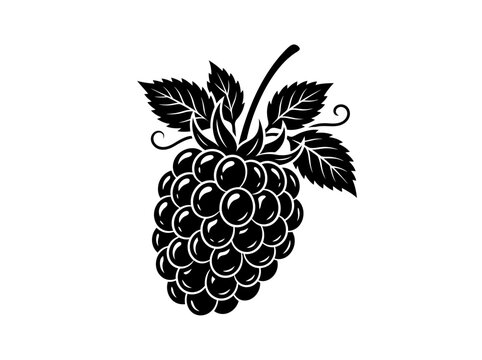 Detailed black and white vector illustration of fresh ripe raspberry fruit with green pointed leaves