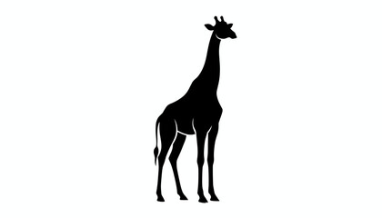 Fototapeta premium Elegant black silhouette of a tall adult giraffe standing quietly against a clean white background in a minimalist wildlife style.
