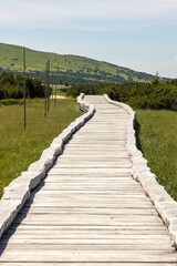 Obraz premium A wooden boardwalk over a moor in the hiking area of ​​the Giant Mountains in the Czech Republic, with Sněžka in the background.