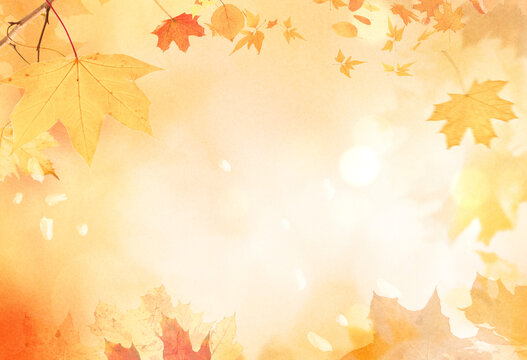 Fall scene in yellow color shades. Autumn background with shadow of maple tree leaves on a wall.
