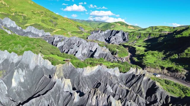 Aerial view of the black stone forest in Moshi Park surrounded by green grasslands in Garze, Sichuan, China