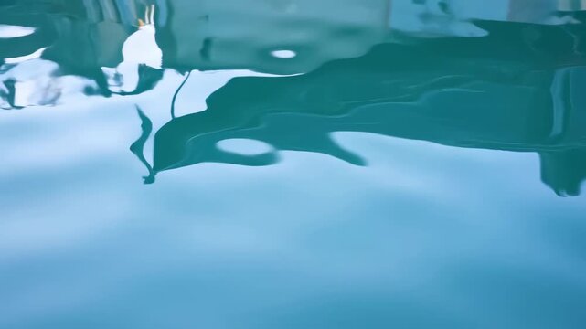 peaceful whale swimming underwater side view nature wildlife blue green water clean commercial natural light background copy space editorial educational visual story design resource web.