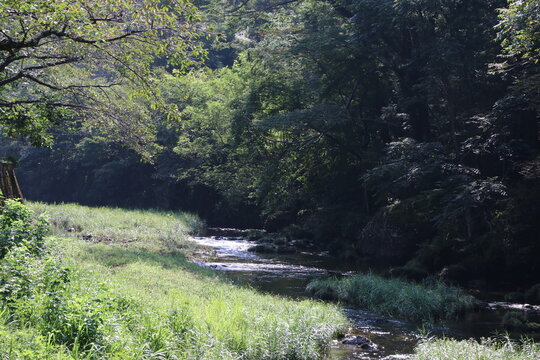 袋田温泉を流れる滝川。奥久慈の袋田の滝から流れ出る川。