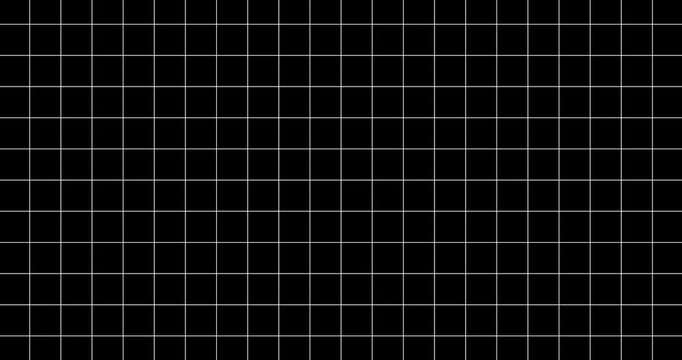 White grid lines on black background animation loop for tech, geometry, math, sci-fi and motion graphics overlay background