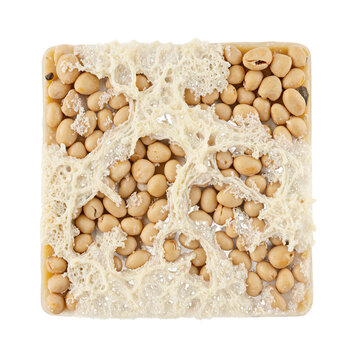 Natto fermented soybeans on a transparent background featuring the sticky white strings of a healthy Japanese breakfast dish