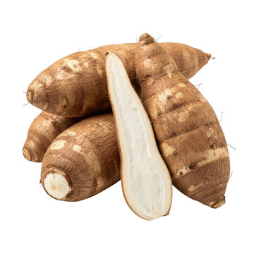 Fresh raw cassava roots, also known as yuca or manioc, with one root sliced in half to reveal the white starchy interior on black background isolated on a transparent background