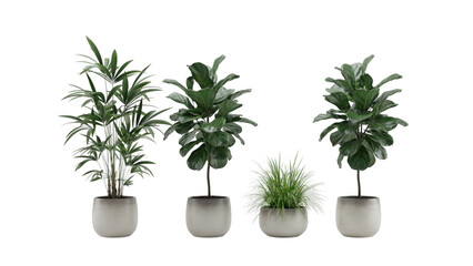 Fototapeta premium Set of Four Modern Indoor Houseplants in Minimalist Ceramic Pots for Interior Decoration and Home Office Greenery Collection Isolated on White