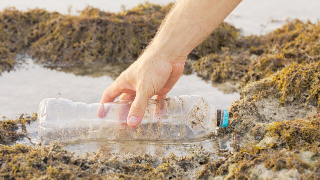 environmental cleanup, an environmentalist hand picking up a plastic bottle in sea or ocean, water pollution, responsibility