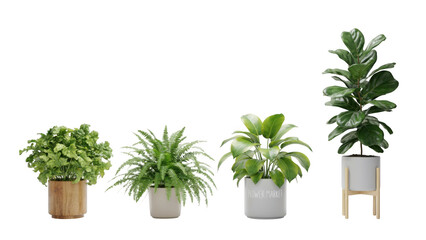 Fototapeta premium Set of Four Distinct Indoor Potted Green Houseplants in Modern Decorative Containers Isolated on a Clean White Background for Interior Design