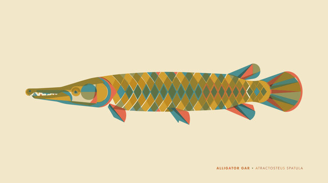 Alligator gar fish vector illustration with geometric mosaic pattern design