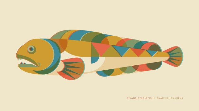 Atlantic wolffish vector illustration in geometric retro style