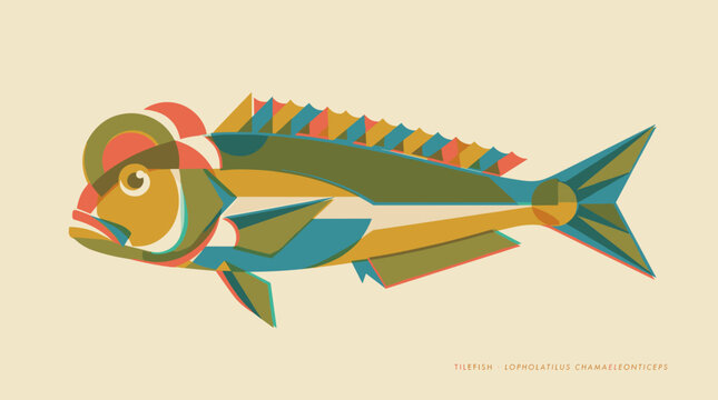 Tilefish geometric vector illustration in retro style with colorful overlapping shapes