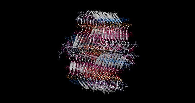 Amyloid beta fibril protein structure, aggregate associated with Alzheimer's disease, 3D molecule 4K spinning