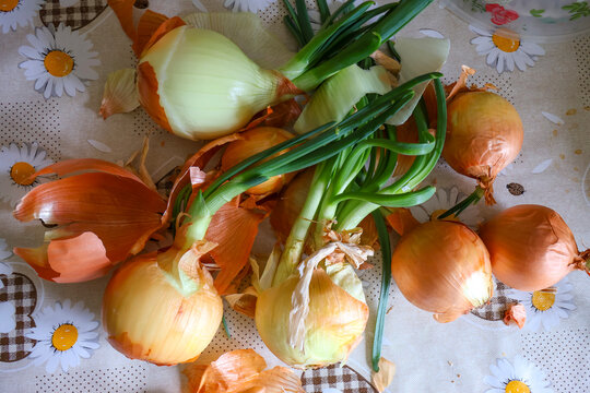 Golden-yellow onion bulbs contrast with crisp green stalks. Delicate daisy pattern adds homely warmth, highlighting simple, wholesome produce