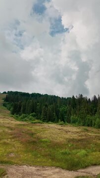 Camera panning from a working chairlift cable car over a green summer mountain slope towards dense pine forest with dramatic cloudy sky. Summer mountain tourism and active outdoors vacation scene.