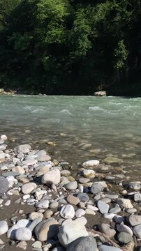 fast pale turquoise river flows past smooth pebbles on a quiet forest shore, creating natural ripples and a refreshing mountain stream landscape in summer sunlight