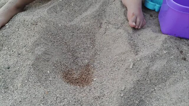 Close-up of a child's hands using a blue toy shovel to dig sand on the beach during summer play.
