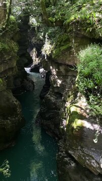dark clear water flows through a narrow rocky gorge covered with moss and ferns, revealing layered cliff textures and a hidden forest stream in warm summer light