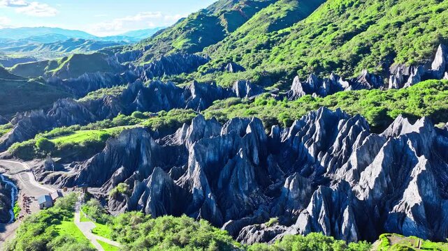 Aerial view of the black stone forest in Moshi Park surrounded by green grasslands in Garze, Sichuan, China