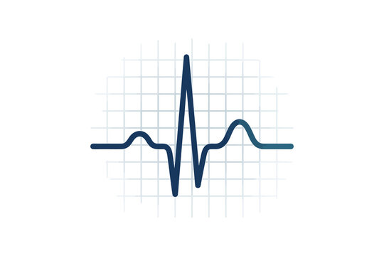 Heartbeat Rhythm Vector Illustration