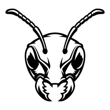 Bold Black and White Ant Head Logo Vector