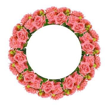 Сoral rose flowers in a round frame with card isolated on white or transparent background