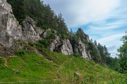 Dramatic limestone outcrops rise above a grassy karst hillside with narrow hiking paths, metal railings and dense Scots pine Pinus sylvestris. Scenic natural landscape combining exposed geology, fores