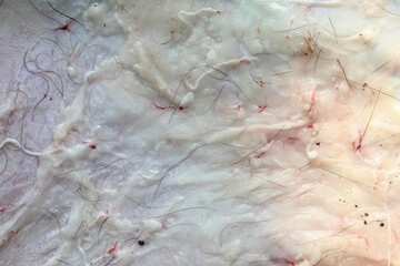 Fototapeta premium The texture of the fat layer and inner skin of a goat with remaining black hair strands