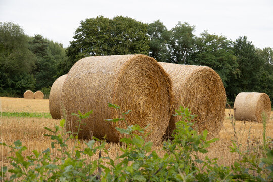 Feld mit Heuballen am Wegesrand in der Region Teutoburger Wald
