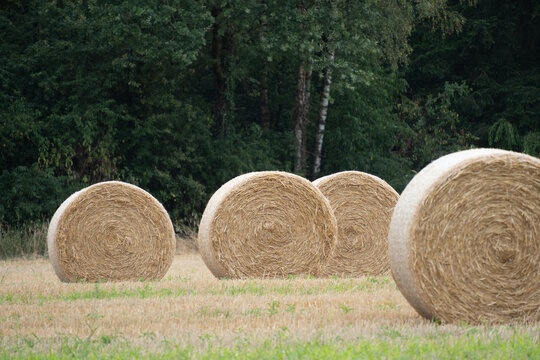 Feld mit Heuballen am Wegesrand in der Region Teutoburger Wald
