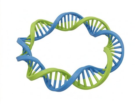 Exploring the applications of circular dna and recombinant plasmid technology in science