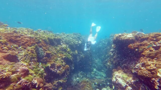 Free Diver Swims Through Coral Reef Crevice in Slow Motion, Indonesia
