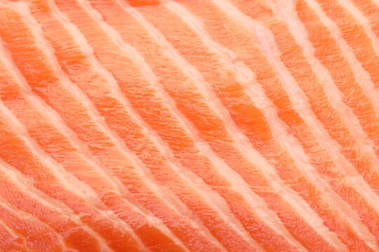 Texture of raw salmon meat as background, closeup